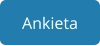Ankieta