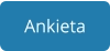 Ankieta