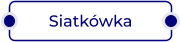 Siatkówka